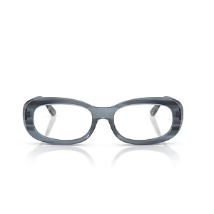 Мед. оправа Ray-Ban RB 2221V 8456 53