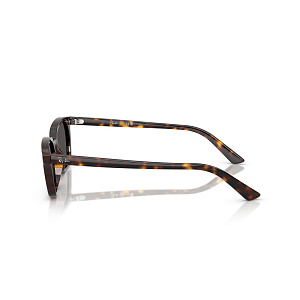 Очки с/з Ray-Ban RB 4456 1359/87 53