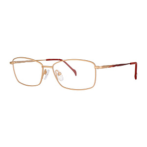 Мед. оправа STEPPER SI-50253 F010 53