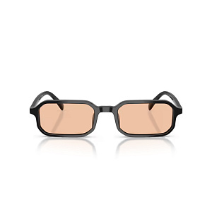 Очки с/з EMPORIO ARMANI EA 4253U 5017/93 54